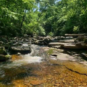 Meet your Posher, Arianne